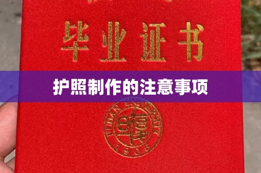 梅里斯护照制作的注意事项